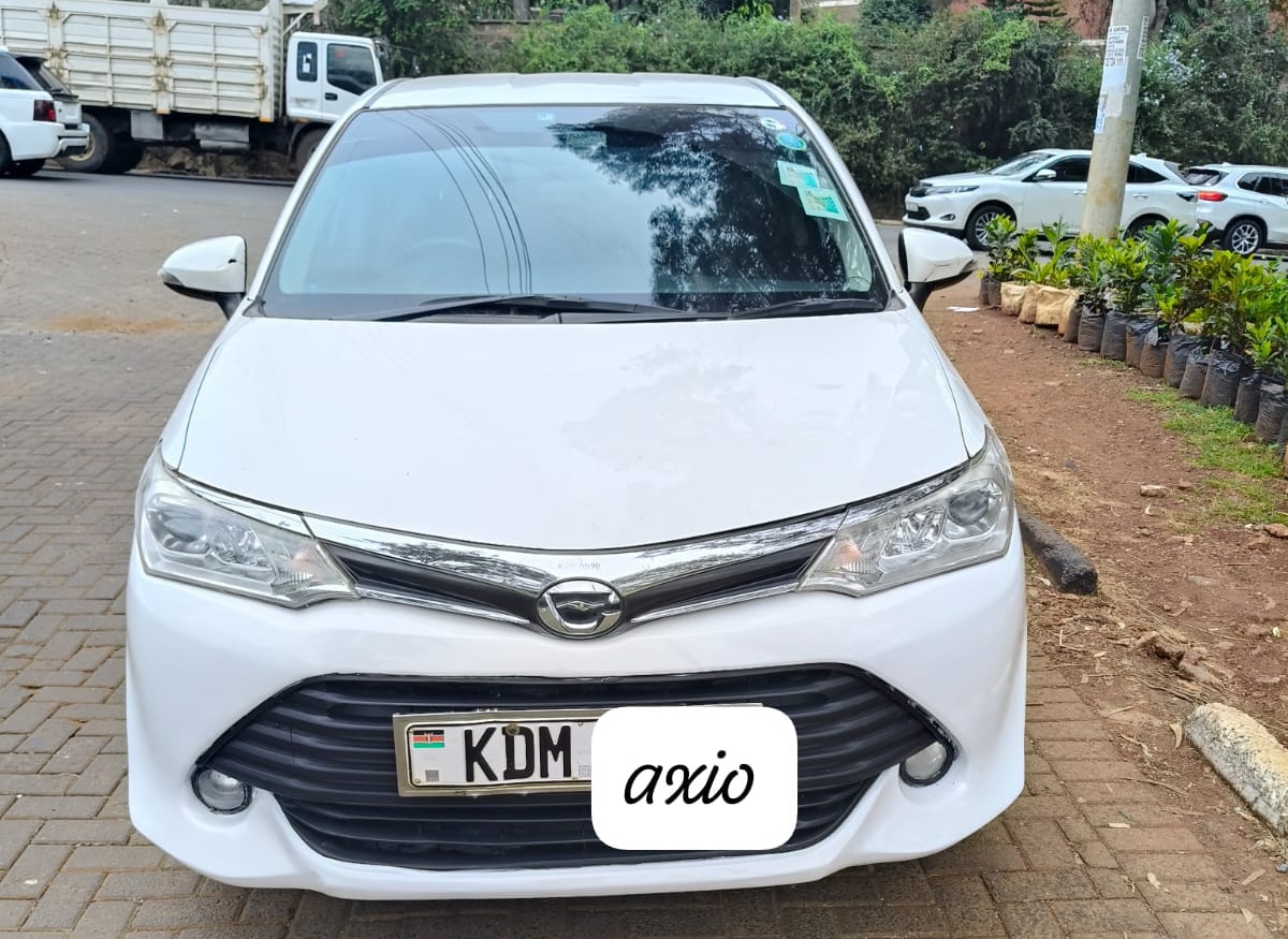 Toyota Axio image 1