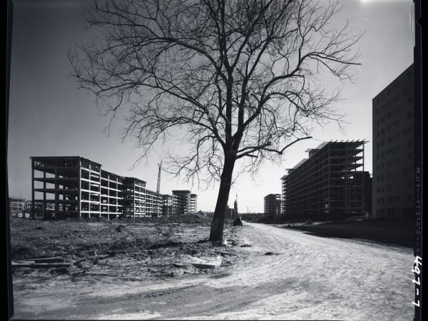 Construction Progress on the Pruitt-Igoe Housing Projects