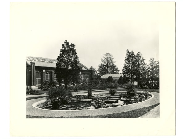 Tower Grove Park Lily Ponds: The oval lily pond with the Palm House behind it, at mid-century.