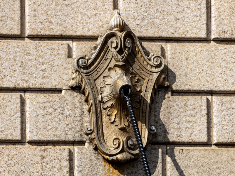 The Fox Theater