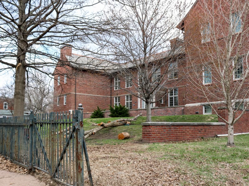 Delaney School