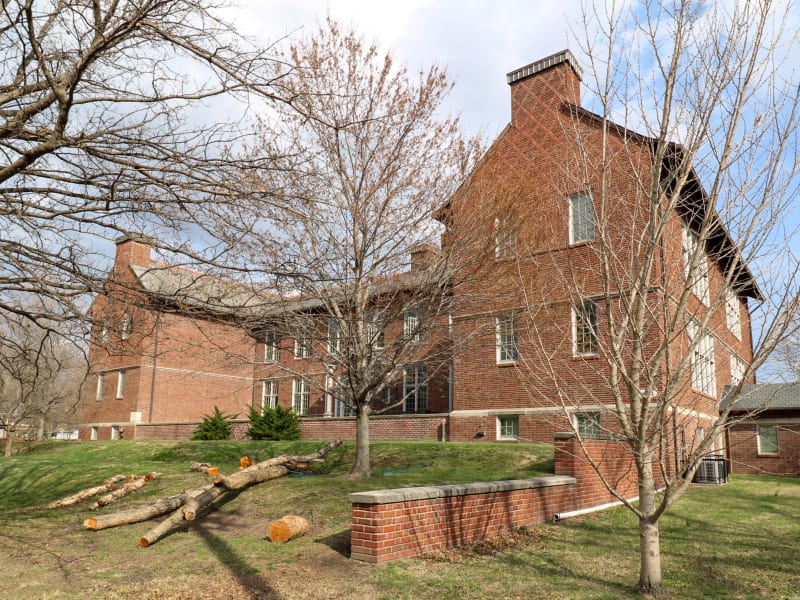 Delaney School