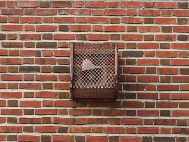 Mason School