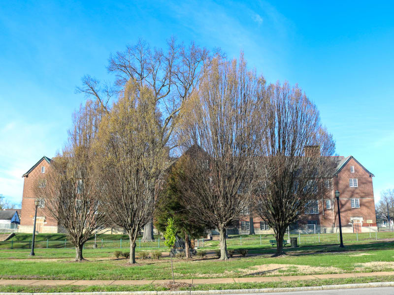 Walnut Park School