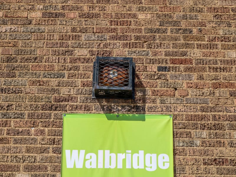 Walbridge School