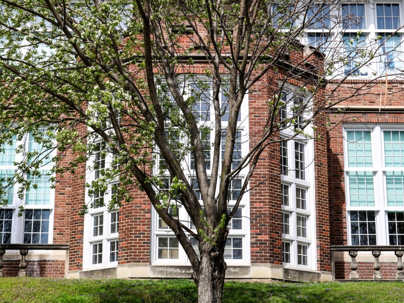 Hamilton Elementary School