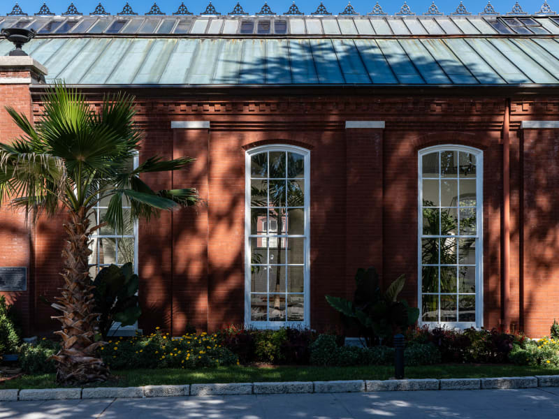 Piper Palm House, 4271 Northeast Drive, St. Louis, photographed October 2026
