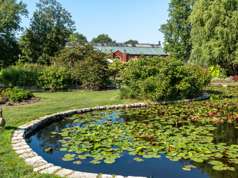 Piper Palm House, 4271 Northeast Drive, St. Louis, photographed August 2026