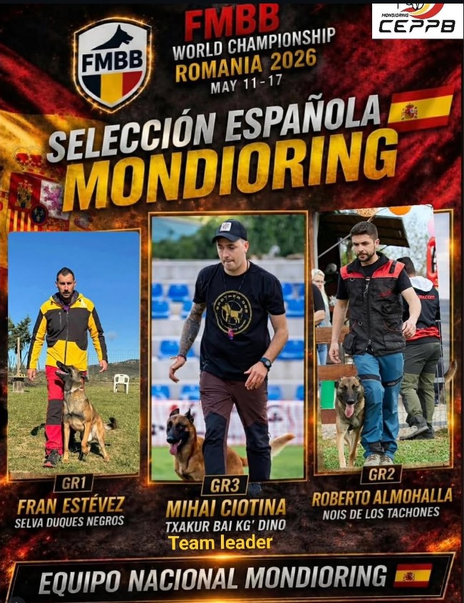 Copa de España