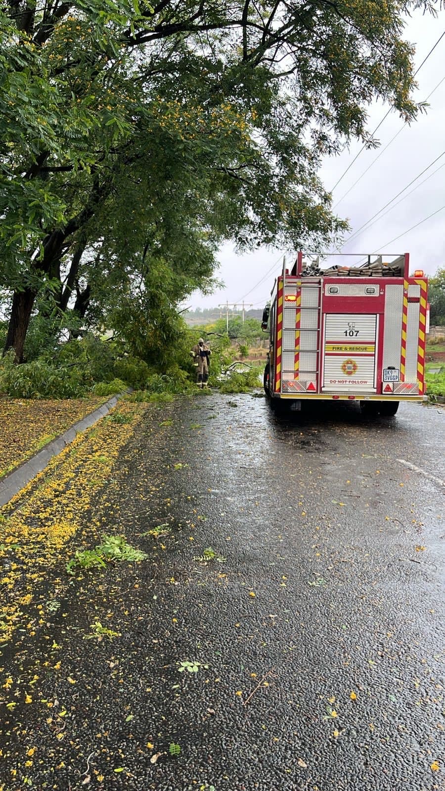 Photo:Flooding, fallen trees and relocations postponed as Tshwane battles weekend downpours– South African Daily”