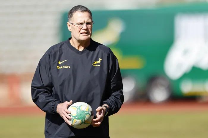 Photo:Springboks back at full strength to face Ireland in Dublin test – South African Daily