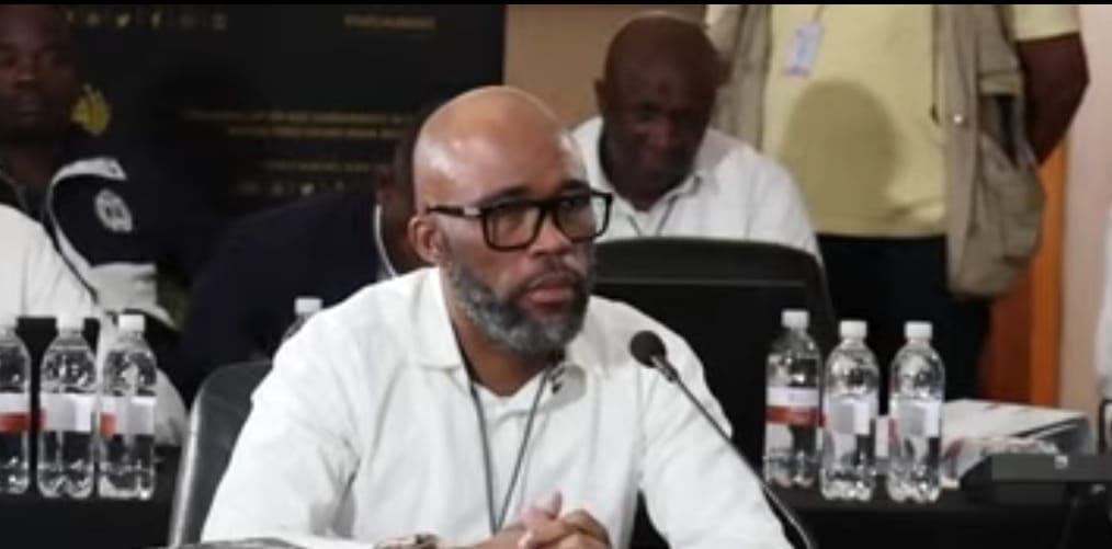 Photo:Cat Matlala forced to testify before parliament after last-minute delay attempt– South African Daily”
