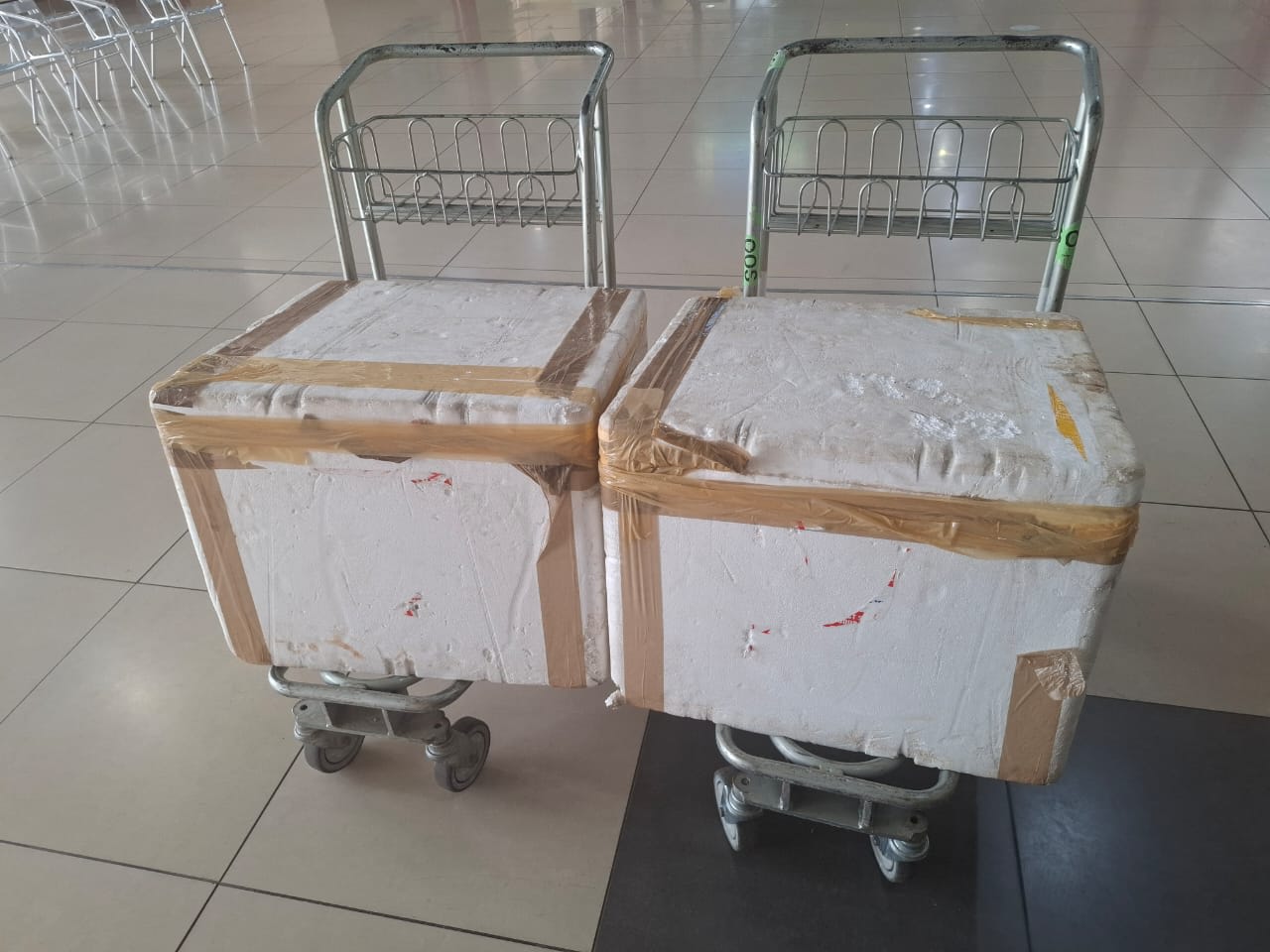 Photo:BMA seizes illegal veterinary medicines at Polokwane International Airport – South African Daily
