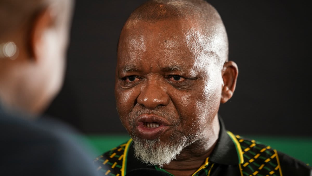 Photo:Mantashe withdraws from ANC succession race– South African Daily”