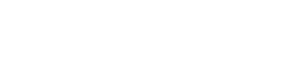 Entes Elektronik