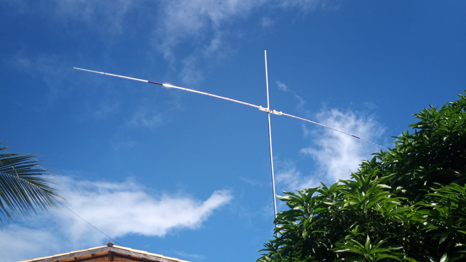 DXA1740.jpeg DXA1740.jpeg