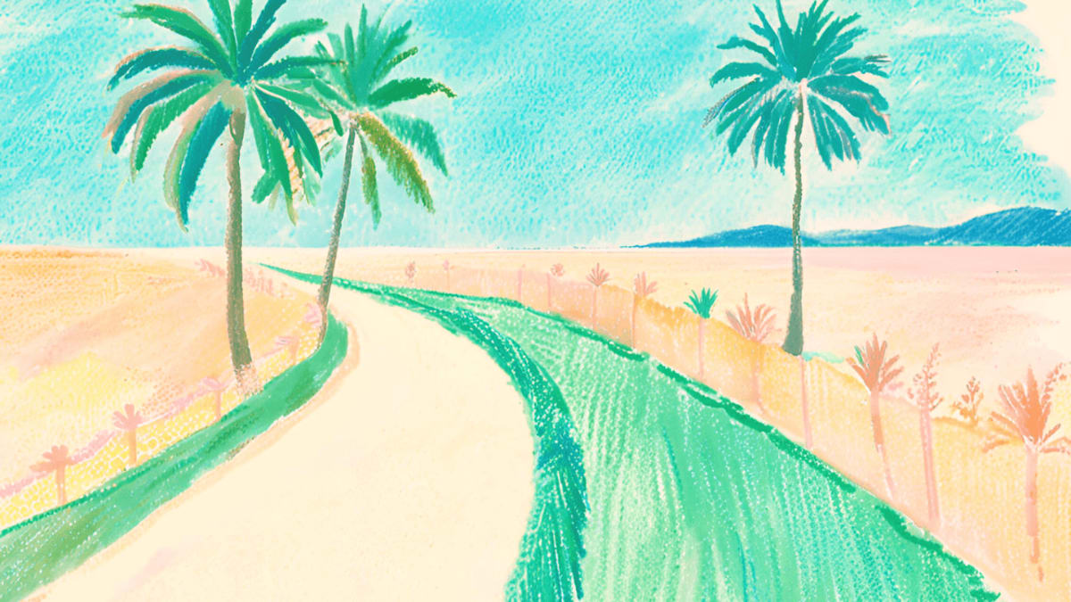 Palm-tree-lined path symbolizing Florida Scholarship Programs Overview