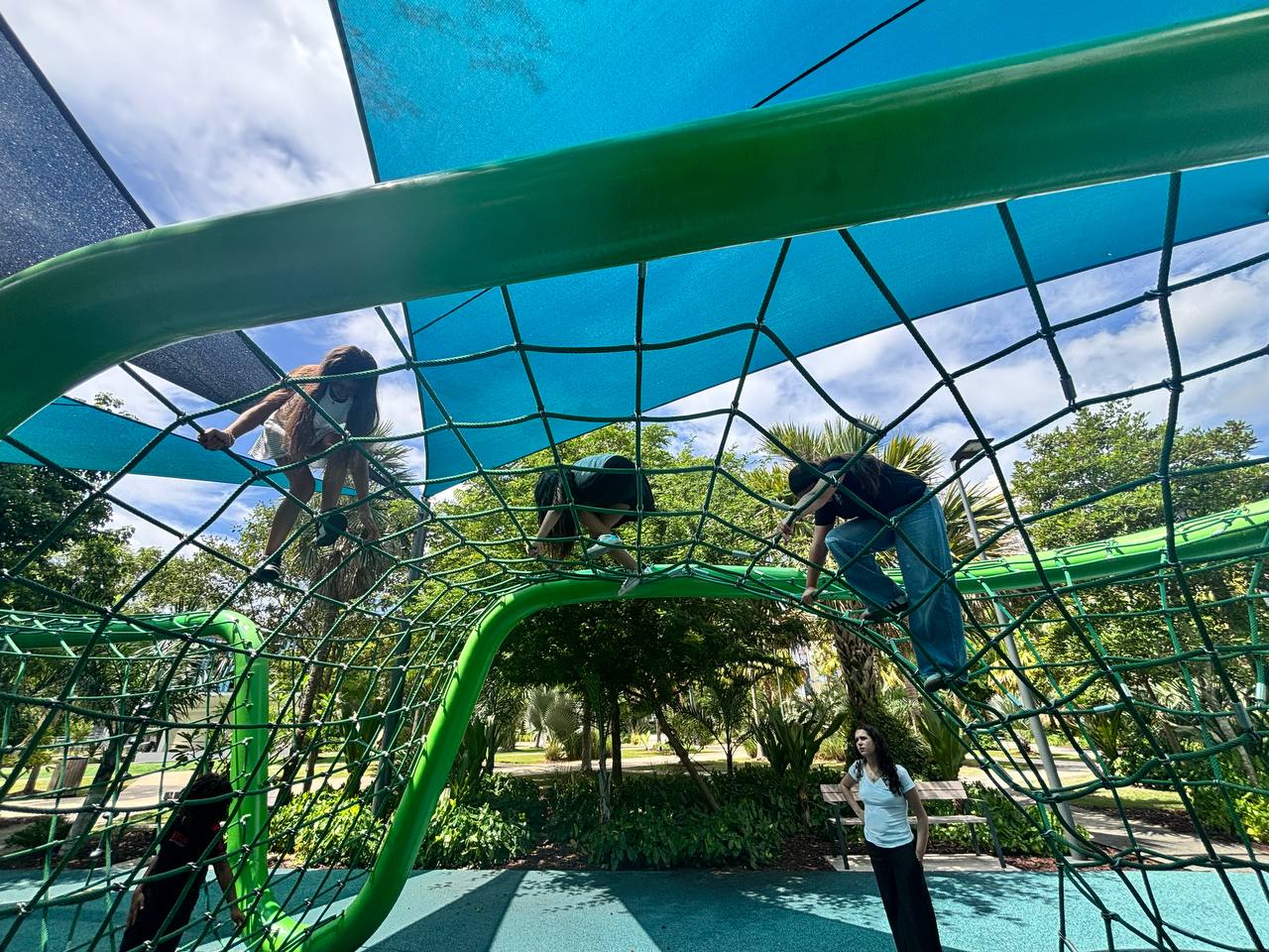 Eaton Homestead students climbing a rope structure at a shaded park during recess