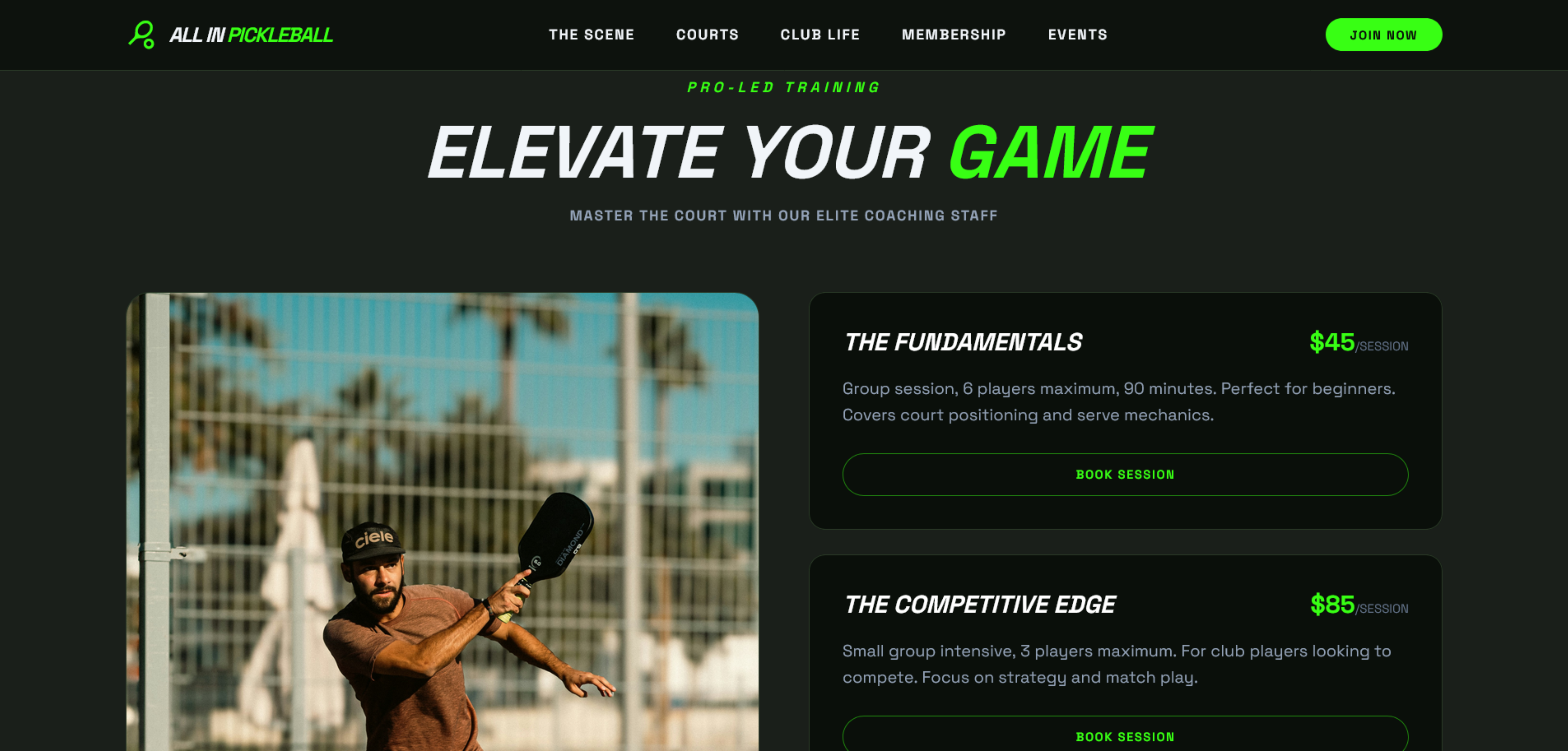 All In Pickleball Club portfolio preview