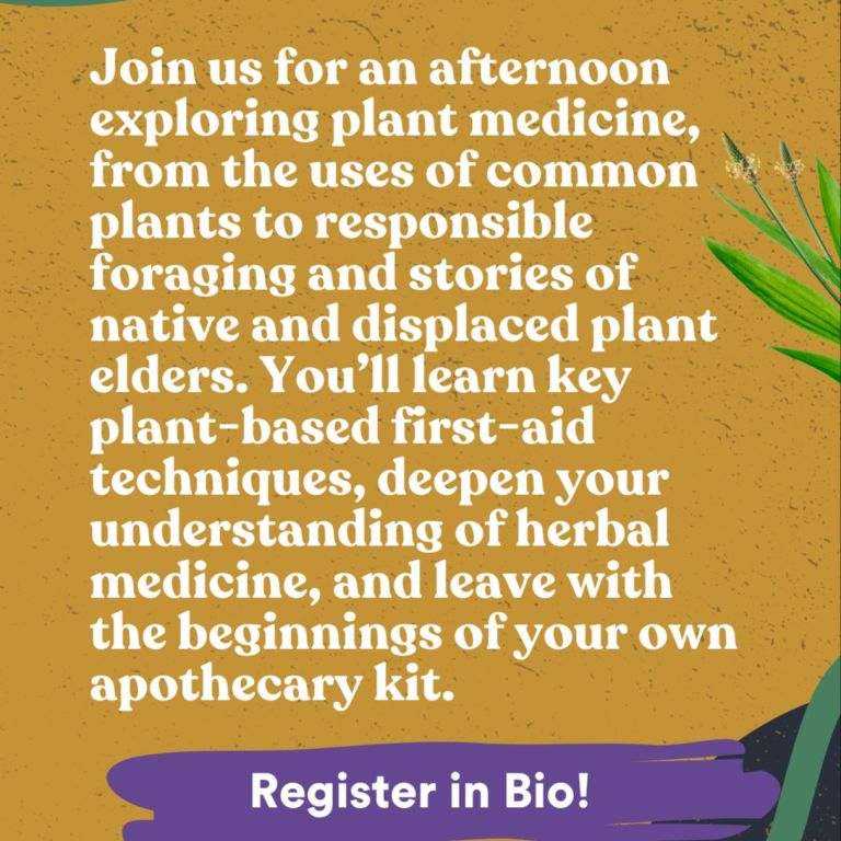 Event Photo: Plant Medicine: Ancestral First-Aid Practices