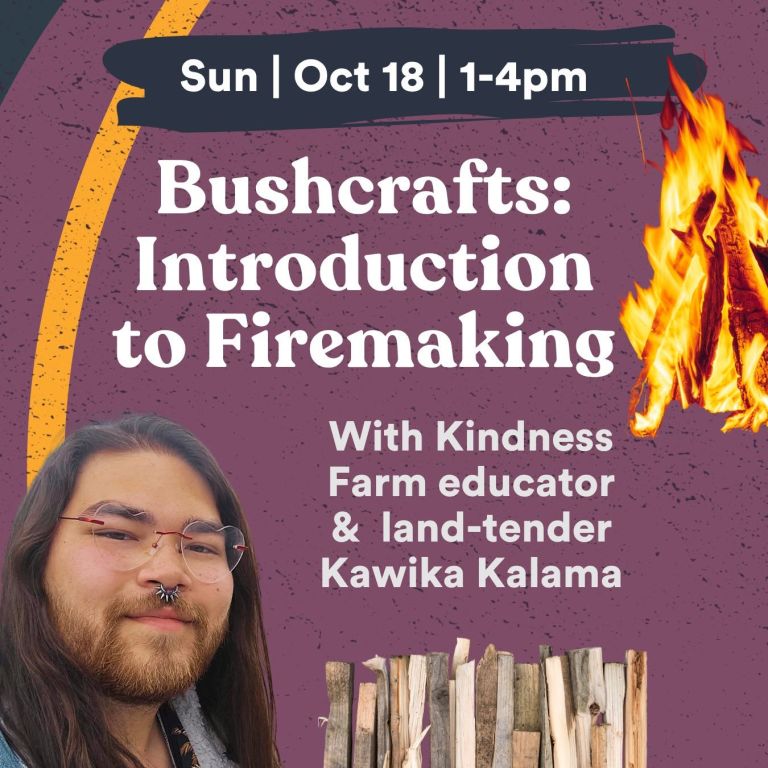 Event Photo: Bushcraft: Introduction to Firemaking