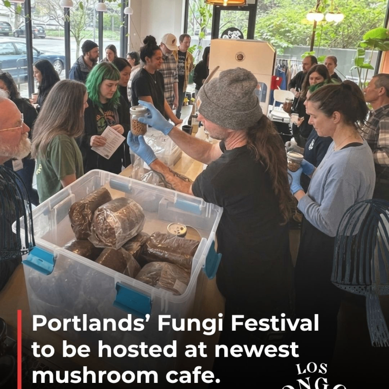 Event Photo: Portland Fungi Festival