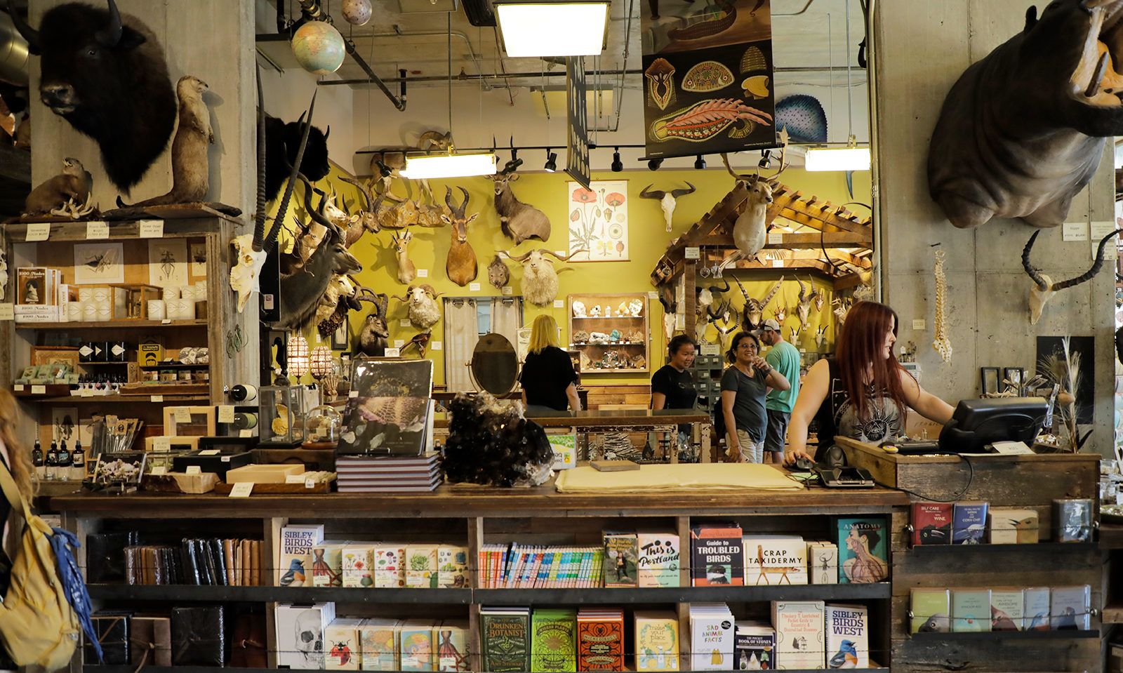 Paxton Gate on North Mississippi Avenue offers a plethora of taxidermy, preserved oddities and unique gifts.