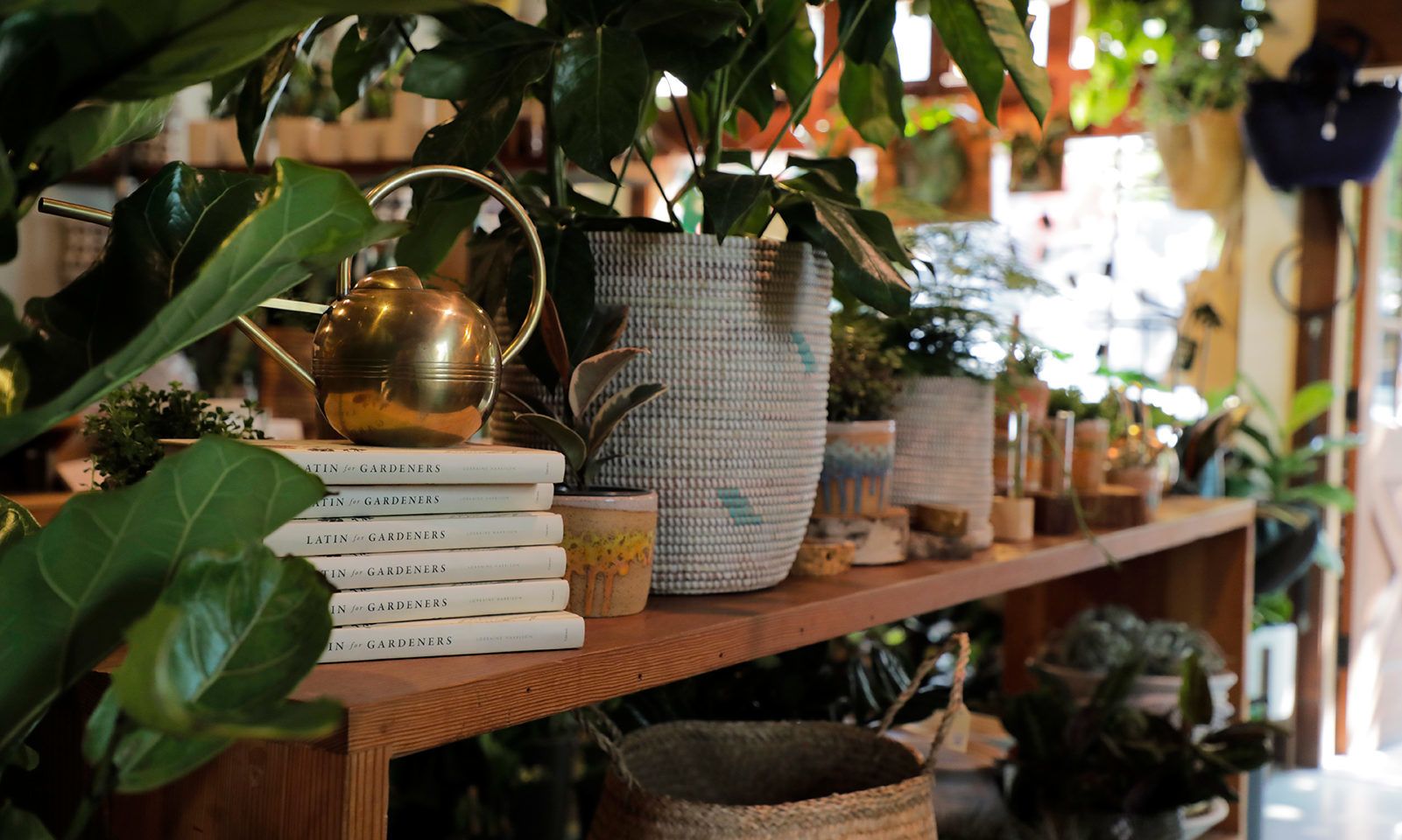Pistils Nursery on North Mississippi Avenue offers plenty of gardening supplies, plants and resources, including a build-your-own-terrarium station.