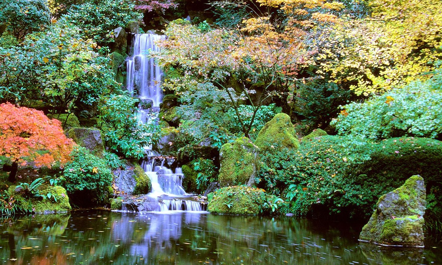 Portland Japanese Garden | The Official Guide to Portland