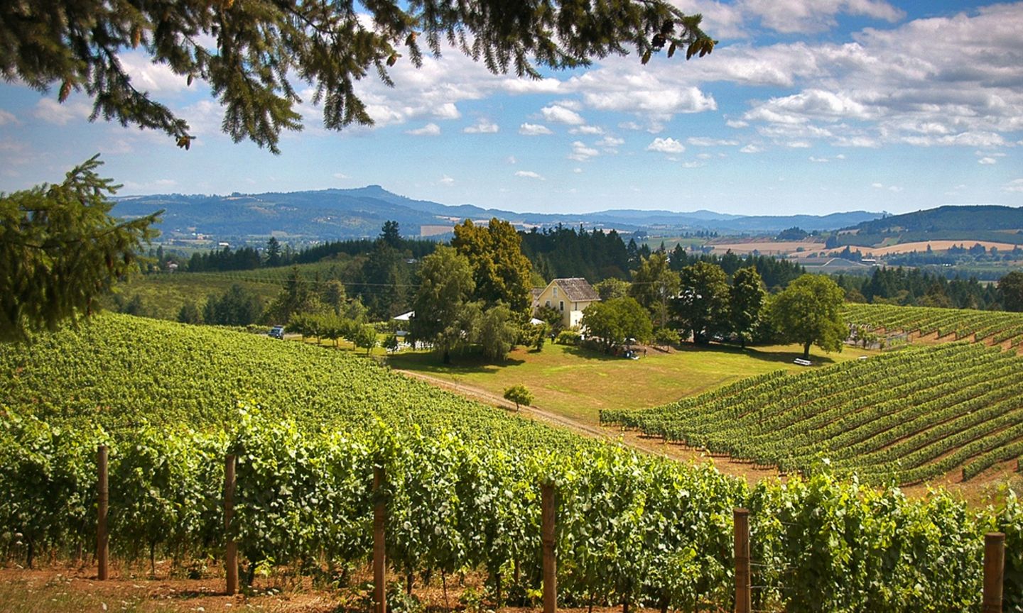 Willamette Valley  The Official Guide to Portland