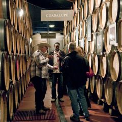 Wine Country Thanksgiving