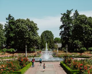 a large fountain sprays in the middle of the park, surrounded by hedges and rose bushes