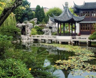 garden with chinese inspired architecture