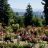 The Rose Garden in Washington Park.