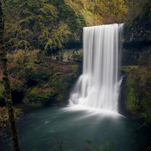 Admirez dix chutes d'eau spectaculaires au Silver Falls State Park.