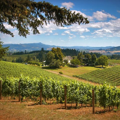 Willamette Valley The Official Guide To Portland