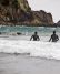 Surfers catch the waves at Oswald West State Park on the Oregon Coast.