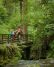 Forest Park has 70 miles of trails for hikers to enjoy.