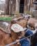 Valenzuela greets one of the farm’s resident goats. Photo by Ashley Anderson.