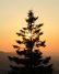 Take in a tranquil sunrise at one of these Oregon parks and forests.