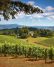 A tour of the North Willamette Valley offers some stunning views, like this at David Hill Winery.