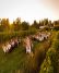 Snag tickets to enjoy an ultra-fresh farm dinner al fresco.