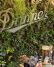 Find Danner\'s American-made boots and other outdoor gear inside Union Way.