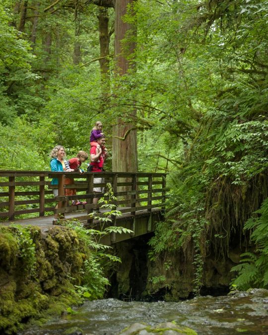 Forest Park has 70 miles of trails for hikers to enjoy.
