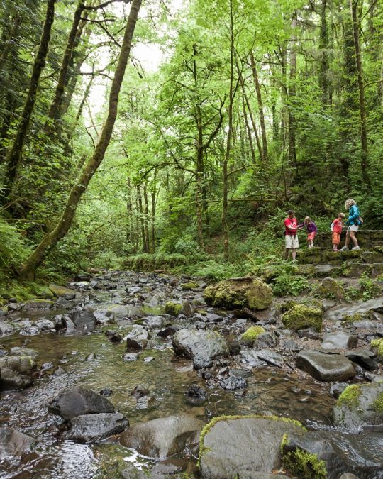 Hikers of all ages enjoy exploring Forest Park.