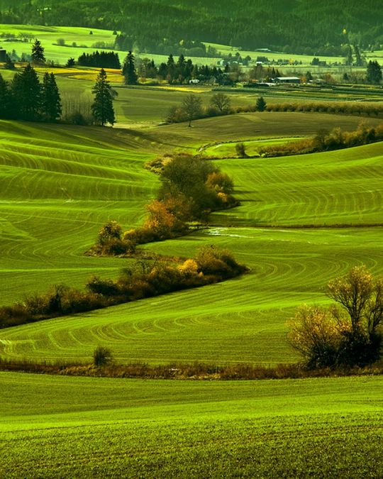 The Vineyard and Valley Scenic Route winds through Washington County farmland.