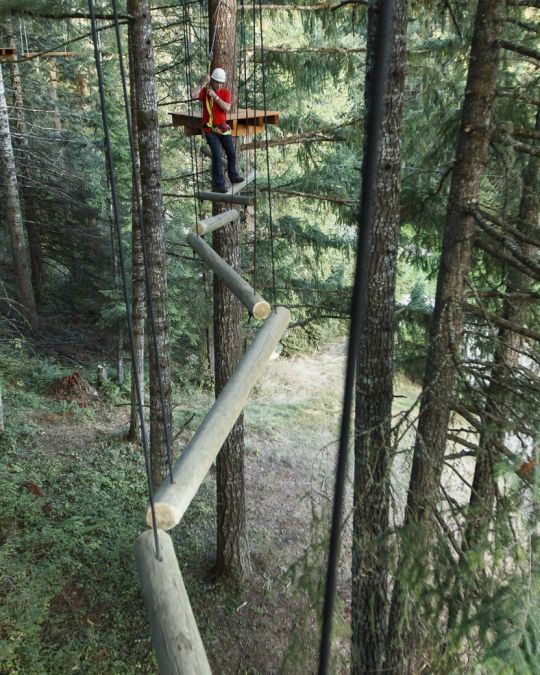West of Portland, Tree to Tree Adventure Park offers an aerial obstacle course and zip line.
