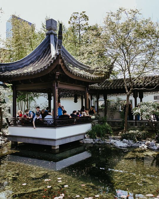 Lan Su Chinese Garden in Portland\'s Old Town Chinatown bursts with native Chinese flora, foliage and architecture.