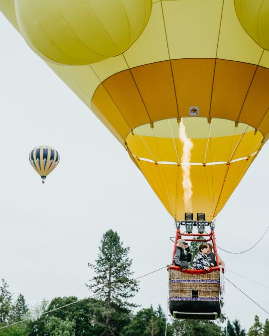 Early-morning tethered balloon rides are among the offerings of the annual Festival of Balloons in Tigard.