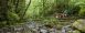 Hikers of all ages enjoy exploring Forest Park.